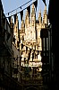 canterbury - (c) c tussing.jpg